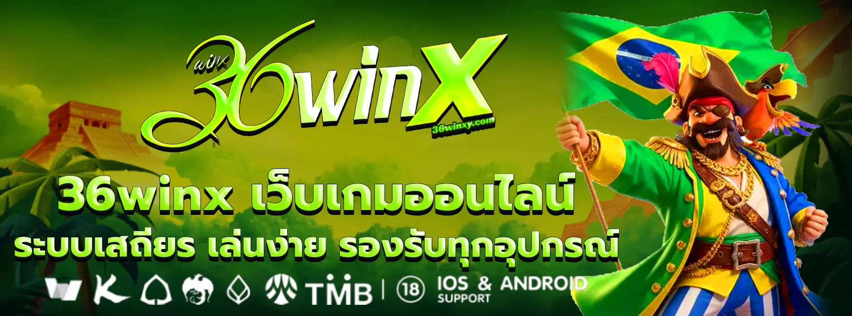 36winx